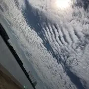 しゅうの画像