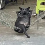 こうすけ