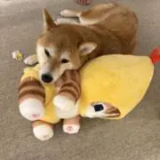 mの画像