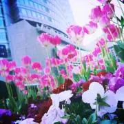DONNA☆プロフご確認下さい。の画像