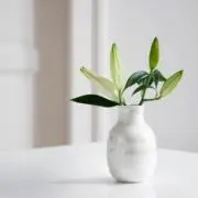 mamaの画像