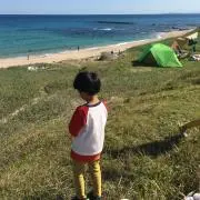 パルムの画像