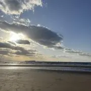 miiの画像