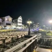 あり