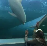 ゆみちゃん