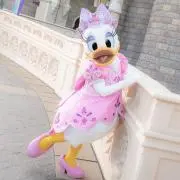 みかんの画像