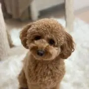 ABY