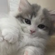 あ