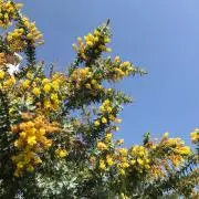 Yの画像