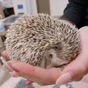 A☆