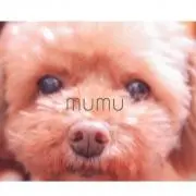 mumu.