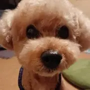 べん