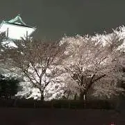 a★プロフ必読。の画像