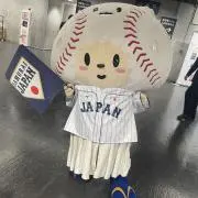 たぬきちの画像