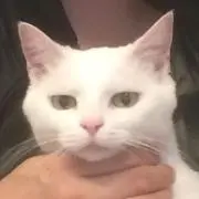 みーの画像