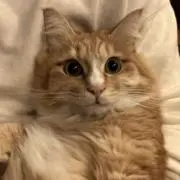 KALU