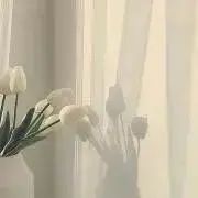 ❁︎の画像