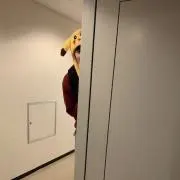 MIの画像