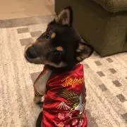 ユピオン☆彡