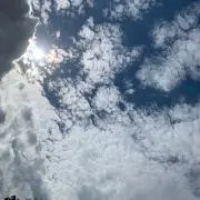 らパーン♪の画像
