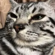 くみくみ