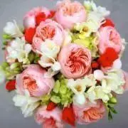 peony