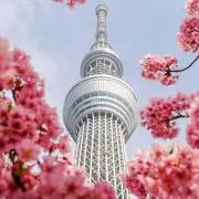 れいくんの画像