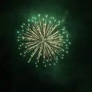 とんびの画像