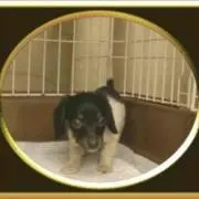 桧奈ママ