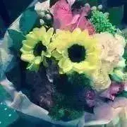 【まとめ買いがお得♪】かびごんちゃんの画像