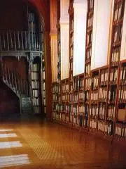 *luneの画像