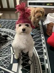 ドカベン太郎