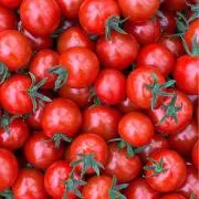 tomato