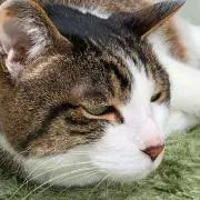 ムリムリ