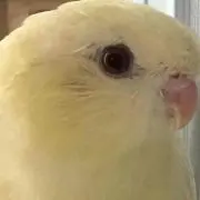 manon2525の画像
