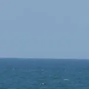 遠藤