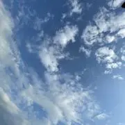 ころの画像