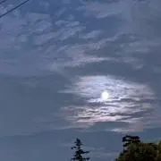 値下げ受け付けます。