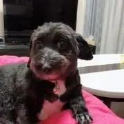 ぴのこ ※プロフ必読！の画像