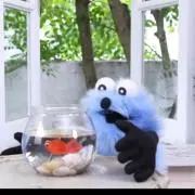 あいうえおの画像