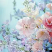 ひより☘️ ご希望価格はコメントにて✨