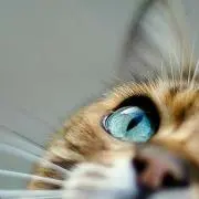Mr LICKS※プロフ要確認の画像