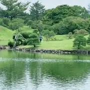 雨蛙