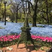 ♪♪♪の画像