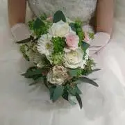 Mignon raban☆の画像