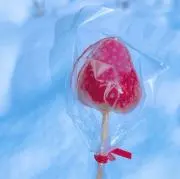 珠 ※紹介文必読※