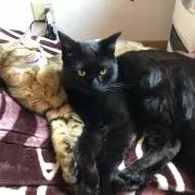 源