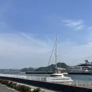 ヤスコの画像