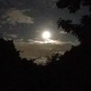 ミラクル