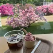 Renaの画像